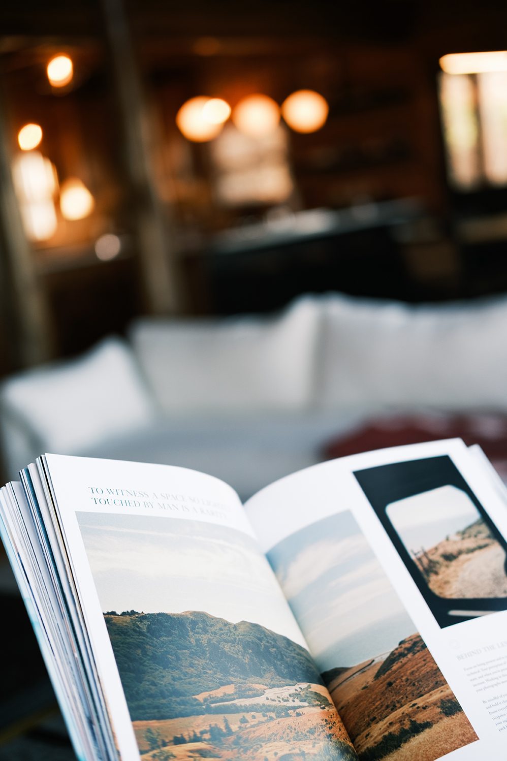 Reading a book on the sofa
