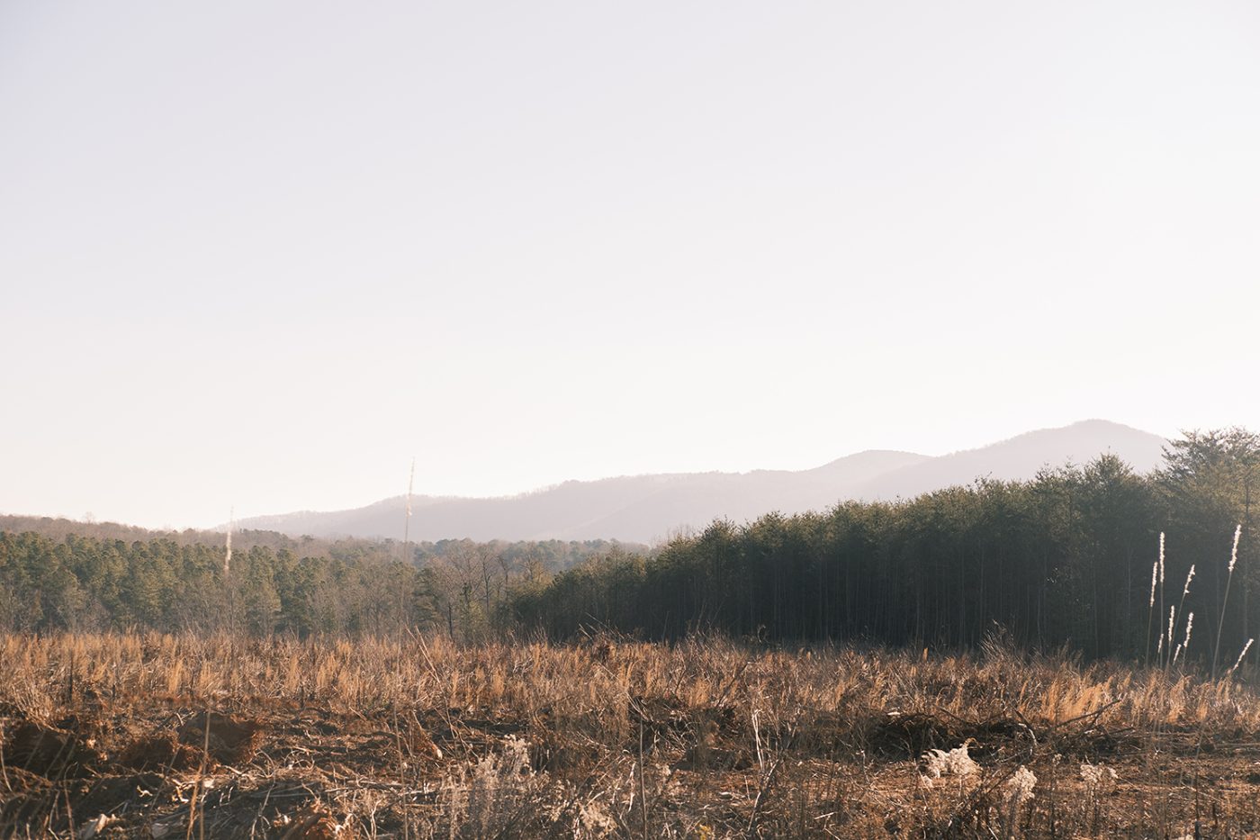Winter field and mountain ridgeline in soft light