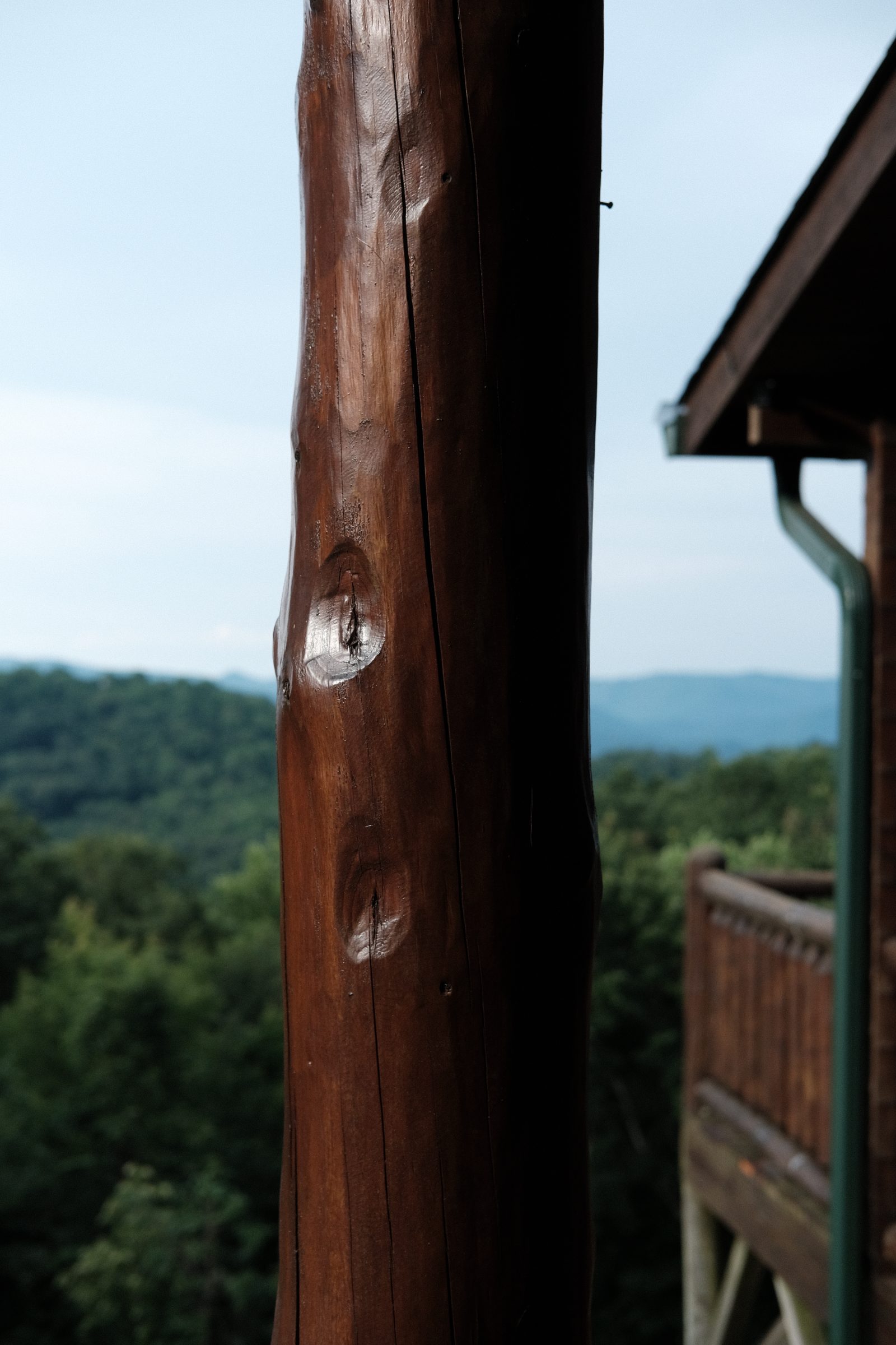 Hand-peeled log columns
