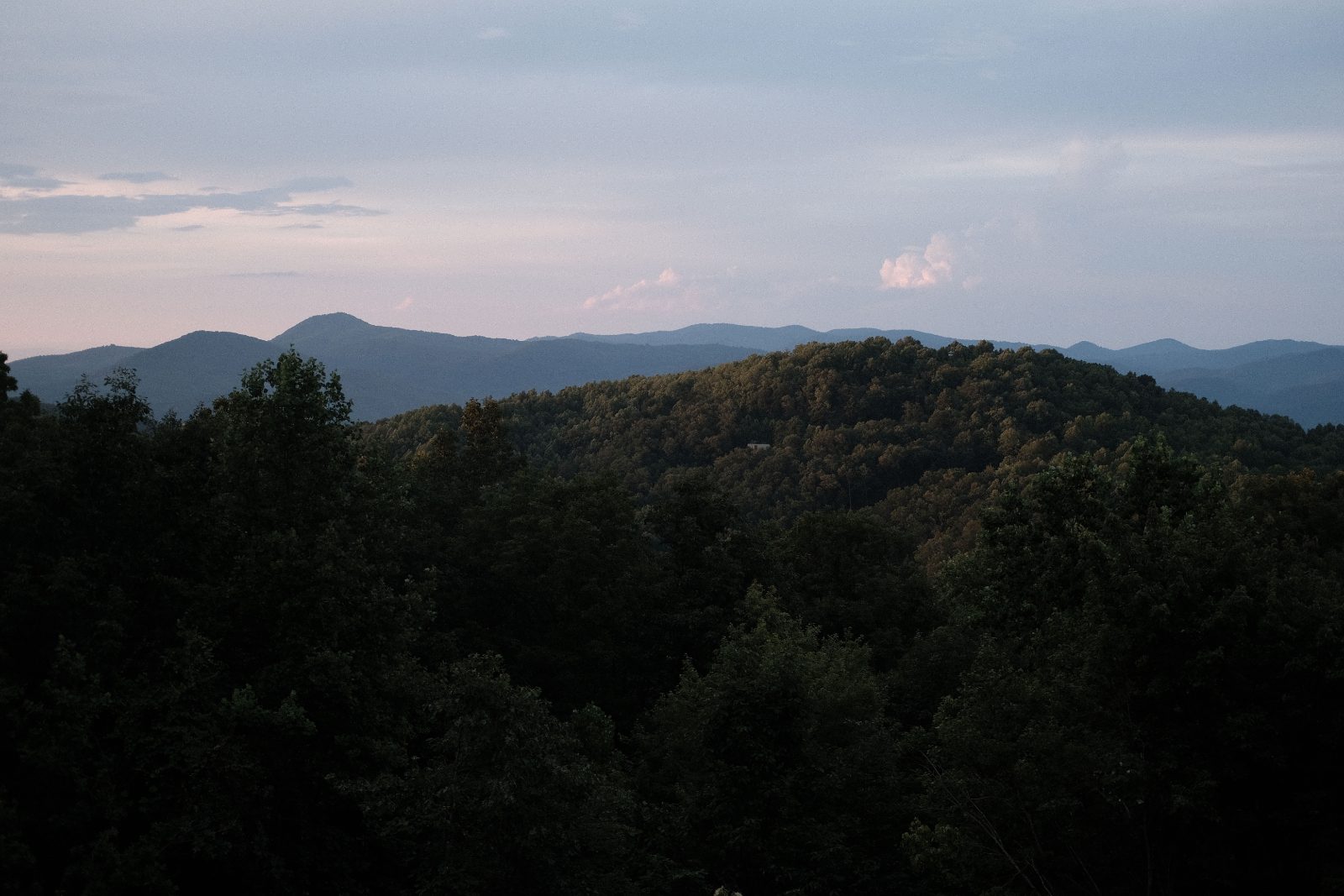 The view, all green in summer
